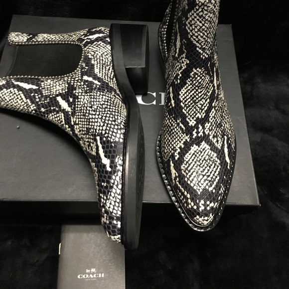 Coach - Picture 3 of 5